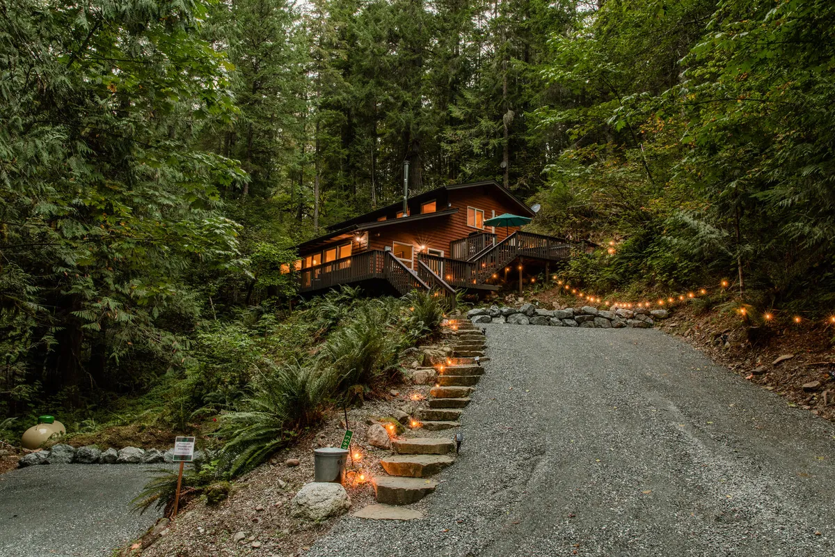 Driveway through the woods